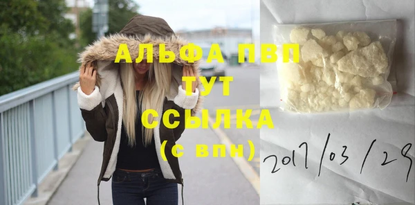 прущие грибы Протвино