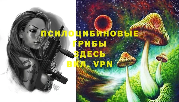соль курить ск Россошь