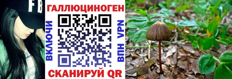 Купить  Ардон  Псилоцибиновые грибы Cubensis 