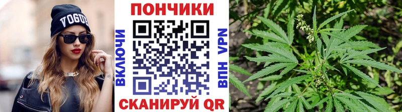 Купить  Ардон  Шишки марихуана MAZAR 
